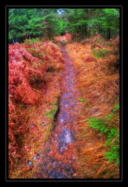 INSTA3601_1.702040_7902.758_7902.758_4120.863_3054.194_-0.452_0.126_89.836_0.000000_0.000000_0.000000_1.04555500_-1.96770263_5.23186493_0.00000000_0.00000000_8192_6144_126_197632 0.014648_-0.001953_0.000000_0.244141_0.244141_0.061035