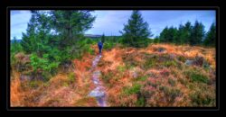 INSTA3601_1.702040_7902.758_7902.758_4120.863_3054.194_-0.452_0.126_89.836_0.000000_0.000000_0.000000_1.04555500_-1.96770263_5.23186493_0.00000000_0.00000000_8192_6144_126_197632 0.014648_-0.001953_0.000000_0.244141_0.244141_0.061035