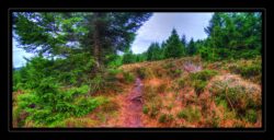 INSTA3601_1.702040_7902.758_7902.758_4120.863_3054.194_-0.452_0.126_89.836_0.000000_0.000000_0.000000_1.04555500_-1.96770263_5.23186493_0.00000000_0.00000000_8192_6144_126_197632 0.014648_-0.001953_0.000000_0.244141_0.244141_0.061035