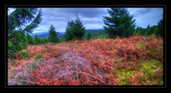 INSTA3601_1.702040_7902.758_7902.758_4120.863_3054.194_-0.452_0.126_89.836_0.000000_0.000000_0.000000_1.04555500_-1.96770263_5.23186493_0.00000000_0.00000000_8192_6144_126_197632 0.014648_-0.001953_0.000000_0.244141_0.244141_0.061035