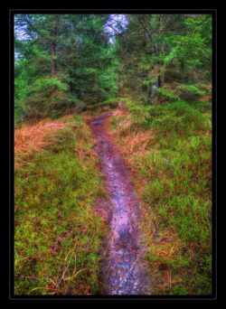 INSTA3601_1.702040_7902.758_7902.758_4120.863_3054.194_-0.452_0.126_89.836_0.000000_0.000000_0.000000_1.04555500_-1.96770263_5.23186493_0.00000000_0.00000000_8192_6144_126_197632 0.014648_-0.001953_0.000000_0.244141_0.244141_0.061035