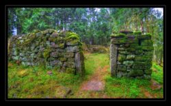 INSTA3601_1.702040_7902.758_7902.758_4120.863_3054.194_-0.452_0.126_89.836_0.000000_0.000000_0.000000_1.04555500_-1.96770263_5.23186493_0.00000000_0.00000000_8192_6144_126_197632 0.014648_-0.001953_0.000000_0.244141_0.244141_0.061035