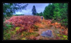 INSTA3601_1.702040_7902.758_7902.758_4120.863_3054.194_-0.452_0.126_89.836_0.000000_0.000000_0.000000_1.04555500_-1.96770263_5.23186493_0.00000000_0.00000000_8192_6144_126_197632 0.014648_-0.001953_0.000000_0.244141_0.244141_0.061035