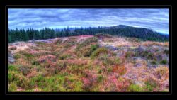 INSTA3601_1.702040_7902.758_7902.758_4120.863_3054.194_-0.452_0.126_89.836_0.000000_0.000000_0.000000_1.04555500_-1.96770263_5.23186493_0.00000000_0.00000000_8192_6144_126_197632 0.014648_-0.001953_0.000000_0.244141_0.244141_0.061035