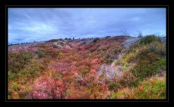 INSTA3601_1.702040_7902.758_7902.758_4120.863_3054.194_-0.452_0.126_89.836_0.000000_0.000000_0.000000_1.04555500_-1.96770263_5.23186493_0.00000000_0.00000000_8192_6144_126_197632 0.014648_-0.001953_0.000000_0.244141_0.244141_0.061035