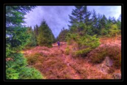 INSTA3601_1.702040_7902.758_7902.758_4120.863_3054.194_-0.452_0.126_89.836_0.000000_0.000000_0.000000_1.04555500_-1.96770263_5.23186493_0.00000000_0.00000000_8192_6144_126_197632 0.014648_-0.001953_0.000000_0.244141_0.244141_0.061035