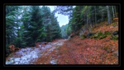 Retour vers la RF de la Belle Poule