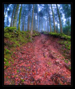 Montée depuis Enteneck vers Altdorf
