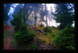 Le soleil perce enfin le brouillard