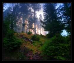 Au dessus du brouillard, le ciel bleu