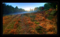 Arrivée au col du Hauenthal. Le soleil s'en va déjà...