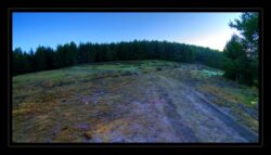 Prairie au pied du Feuerstein nord