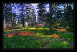 INSTA3601_1.702040_7902.758_7902.758_4120.863_3054.194_-0.452_0.126_89.836_0.000000_0.000000_0.000000_1.04555500_-1.96770263_5.23186493_0.00000000_0.00000000_8192_6144_126_197632 0.014648_-0.001953_0.000000_0.244141_0.244141_0.061035