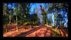 INSTA3601_1.702040_7902.758_7902.758_4120.863_3054.194_-0.452_0.126_89.836_0.000000_0.000000_0.000000_1.04555500_-1.96770263_5.23186493_0.00000000_0.00000000_8192_6144_126_197632 0.014648_-0.001953_0.000000_0.244141_0.244141_0.061035