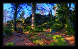 INSTA3601_1.702040_7902.758_7902.758_4120.863_3054.194_-0.452_0.126_89.836_0.000000_0.000000_0.000000_1.04555500_-1.96770263_5.23186493_0.00000000_0.00000000_8192_6144_126_197632 0.014648_-0.001953_0.000000_0.244141_0.244141_0.061035