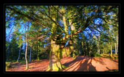 INSTA3601_1.702040_7902.758_7902.758_4120.863_3054.194_-0.452_0.126_89.836_0.000000_0.000000_0.000000_1.04555500_-1.96770263_5.23186493_0.00000000_0.00000000_8192_6144_126_197632 0.014648_-0.001953_0.000000_0.244141_0.244141_0.061035