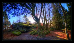 INSTA3601_1.702040_7902.758_7902.758_4120.863_3054.194_-0.452_0.126_89.836_0.000000_0.000000_0.000000_1.04555500_-1.96770263_5.23186493_0.00000000_0.00000000_8192_6144_126_197632 0.014648_-0.001953_0.000000_0.244141_0.244141_0.061035