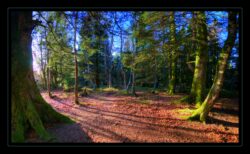 INSTA3601_1.702040_7902.758_7902.758_4120.863_3054.194_-0.452_0.126_89.836_0.000000_0.000000_0.000000_1.04555500_-1.96770263_5.23186493_0.00000000_0.00000000_8192_6144_126_197632 0.014648_-0.001953_0.000000_0.244141_0.244141_0.061035