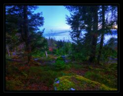 INSTA3601_1.702040_7902.758_7902.758_4120.863_3054.194_-0.452_0.126_89.836_0.000000_0.000000_0.000000_1.04555500_-1.96770263_5.23186493_0.00000000_0.00000000_8192_6144_126_197632 0.014648_-0.001953_0.000000_0.244141_0.244141_0.061035