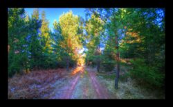 Vers la Borne Brignon