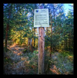 Borne milliaire vers la Croix Simon