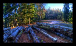 Carrefour de la Croix Simon