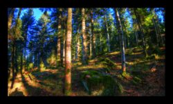 Sentier vers la Malecôte