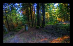 Sentier vers la Malecôte