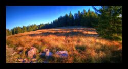 Prairie près deu Sac de Pierre