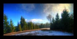 On rejoint la route du Donon