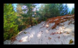 Montée vers le cimetière allemand