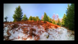 Montée vers le cimetière allemand