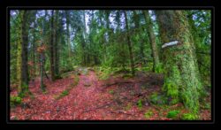 Sentier vers le sommet du Grossmann