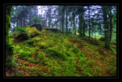 En arrivant au sommet du Grossmann