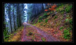 Sentier sud du Narion