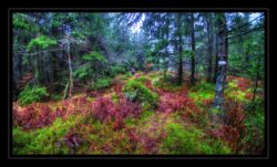 INSTA3601_1.702040_7902.758_7902.758_4120.863_3054.194_-0.452_0.126_89.836_0.000000_0.000000_0.000000_1.04555500_-1.96770263_5.23186493_0.00000000_0.00000000_8192_6144_126_197632 0.014648_-0.001953_0.000000_0.244141_0.244141_0.061035