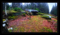 INSTA3601_1.702040_7902.758_7902.758_4120.863_3054.194_-0.452_0.126_89.836_0.000000_0.000000_0.000000_1.04555500_-1.96770263_5.23186493_0.00000000_0.00000000_8192_6144_126_197632 0.014648_-0.001953_0.000000_0.244141_0.244141_0.061035