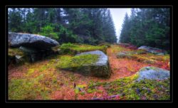 INSTA3601_1.702040_7902.758_7902.758_4120.863_3054.194_-0.452_0.126_89.836_0.000000_0.000000_0.000000_1.04555500_-1.96770263_5.23186493_0.00000000_0.00000000_8192_6144_126_197632 0.014648_-0.001953_0.000000_0.244141_0.244141_0.061035