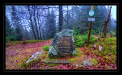 INSTA3601_1.702040_7902.758_7902.758_4120.863_3054.194_-0.452_0.126_89.836_0.000000_0.000000_0.000000_1.04555500_-1.96770263_5.23186493_0.00000000_0.00000000_8192_6144_126_197632 0.014648_-0.001953_0.000000_0.244141_0.244141_0.061035