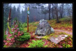 INSTA3601_1.702040_7902.758_7902.758_4120.863_3054.194_-0.452_0.126_89.836_0.000000_0.000000_0.000000_1.04555500_-1.96770263_5.23186493_0.00000000_0.00000000_8192_6144_126_197632 0.014648_-0.001953_0.000000_0.244141_0.244141_0.061035