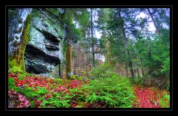 Sentier allant à Beimbach