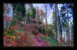 Sentier de Beimbach vers le cimetière gallo-romain