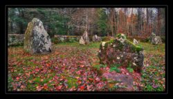 Le cimetière gallo-romain