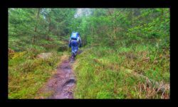 Le sentier commence à monter