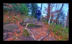 Montée du grand Donon