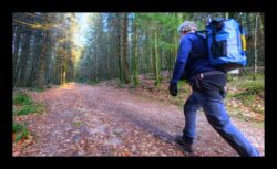 Retour vers le col entre les 2 Donon