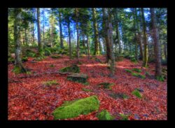 Sous le sommet de Hunurst. Progression hors sentier vers le Melkplatz
