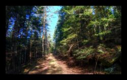 Montée vers le col du Pirronsberg