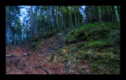 Montée vers le col du Pirronsberg