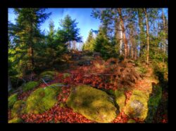 Montée vers le sommet du Pirronsberg